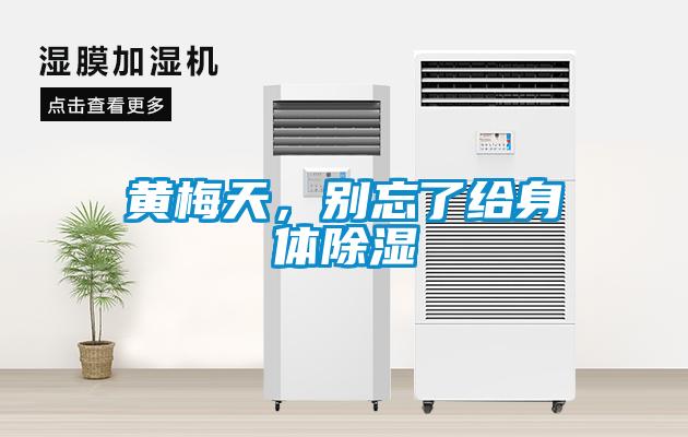 黃梅天，別忘了給身體除濕