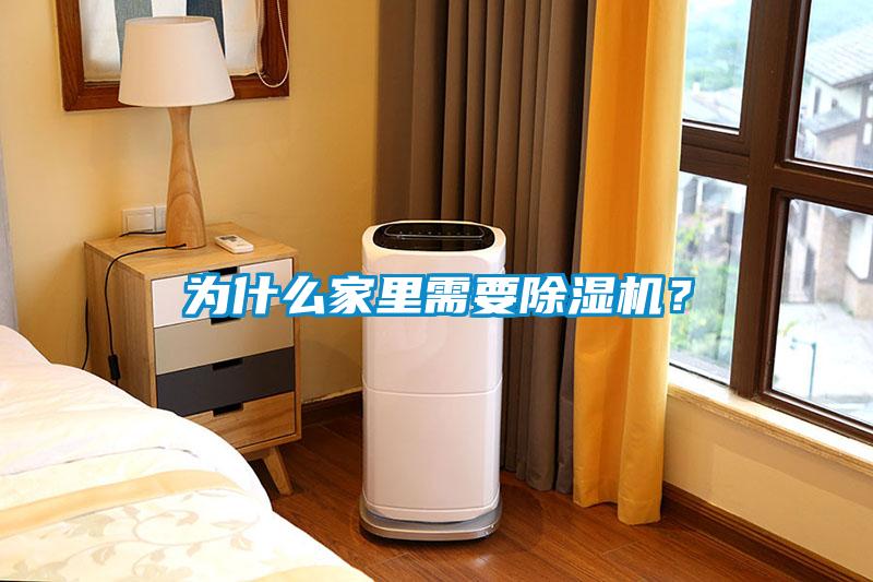 為什么家里需要除濕機(jī)？