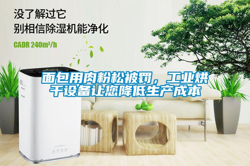面包用肉粉松被罰，工業(yè)烘干設(shè)備讓您降低生產(chǎn)成本