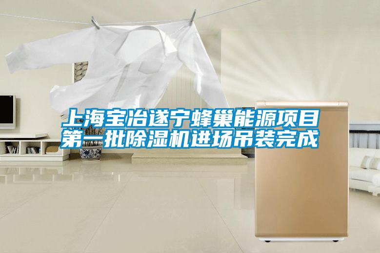 上海寶冶遂寧蜂巢能源項(xiàng)目第一批除濕機(jī)進(jìn)場吊裝完成