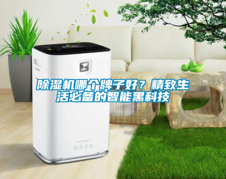 除濕機(jī)哪個牌子好？精致生活必備的智能黑科技
