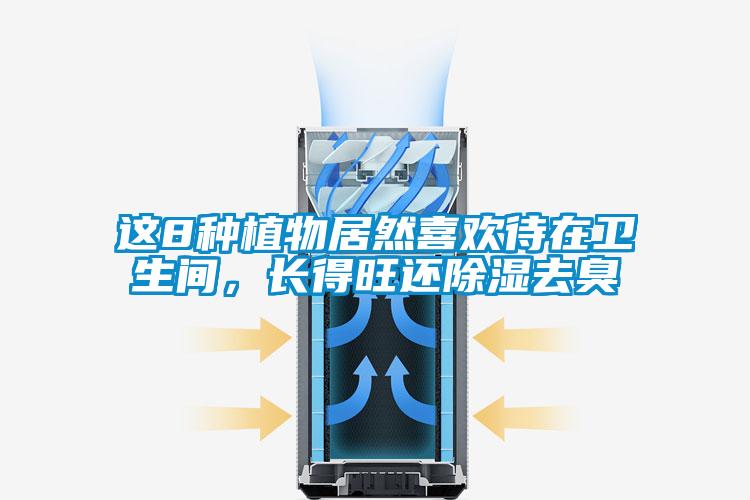 這8種植物居然喜歡待在衛(wèi)生間，長(zhǎng)得旺還除濕去臭