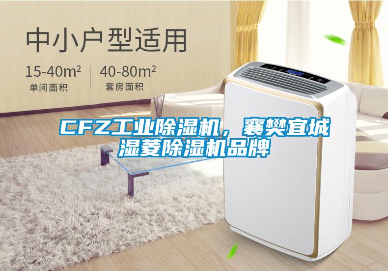 CFZ工業(yè)除濕機，襄樊宜城濕菱除濕機品牌