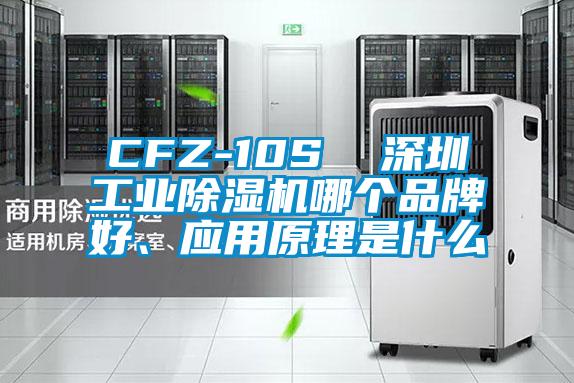 CFZ-10S  深圳工業(yè)除濕機(jī)哪個(gè)品牌好、應(yīng)用原理是什么