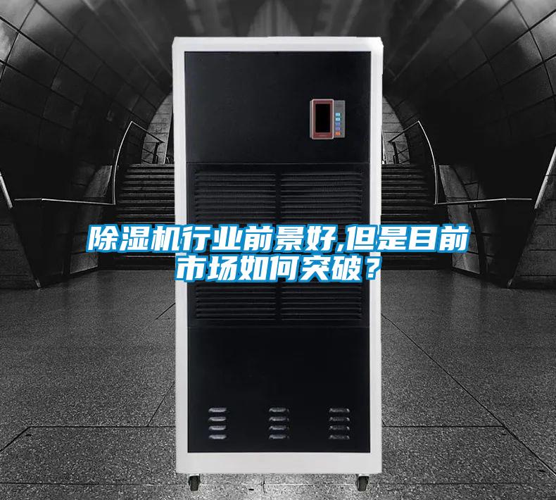除濕機(jī)行業(yè)前景好,但是目前市場(chǎng)如何突破？
