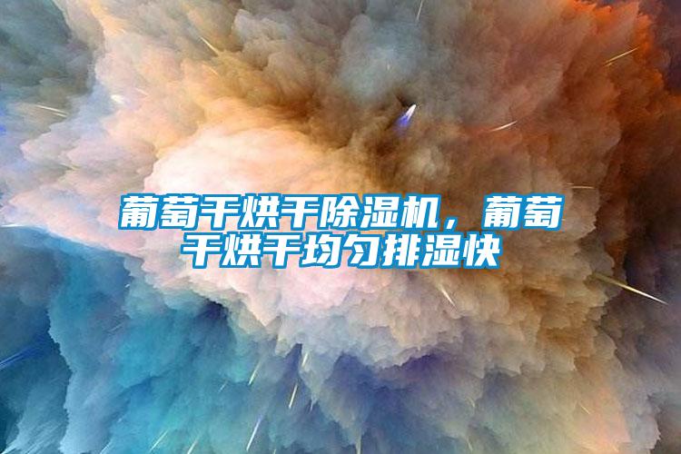 葡萄干烘干除濕機(jī)，葡萄干烘干均勻排濕快