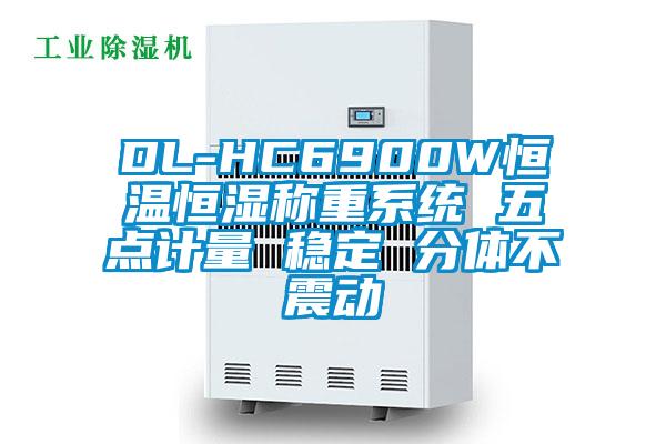 DL-HC6900W恒溫恒濕稱重系統(tǒng) 五點(diǎn)計量 穩(wěn)定 分體不震動
