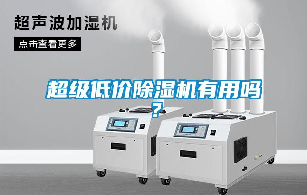 超級(jí)低價(jià)除濕機(jī)有用嗎？