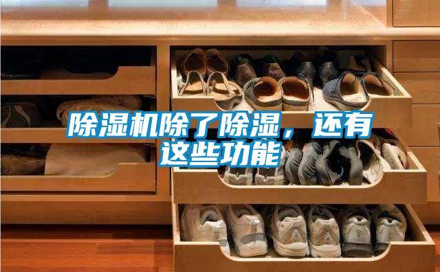 除濕機(jī)除了除濕，還有這些功能