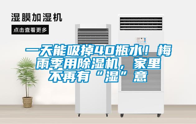 一天能吸掉40瓶水！梅雨季用除濕機(jī)，家里不再有“濕”意