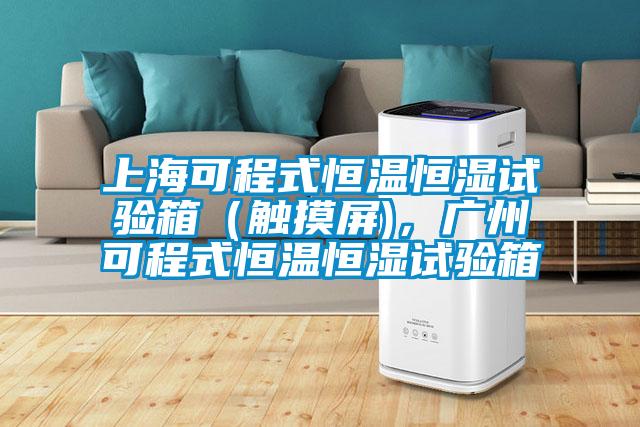 上海可程式恒溫恒濕試驗(yàn)箱（觸摸屏)，廣州可程式恒溫恒濕試驗(yàn)箱