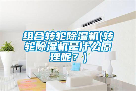 組合轉(zhuǎn)輪除濕機(jī)(轉(zhuǎn)輪除濕機(jī)是什么原理呢？)