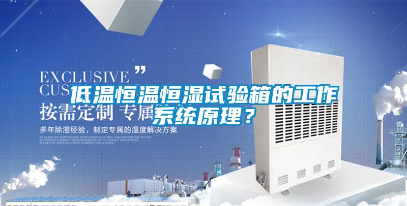 低溫恒溫恒濕試驗箱的工作系統(tǒng)原理？