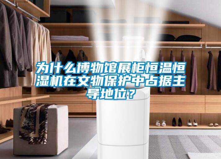 為什么博物館展柜恒溫恒濕機(jī)在文物保護(hù)中占據(jù)主導(dǎo)地位？