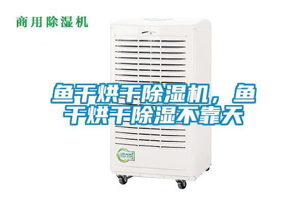 魚干烘干除濕機(jī)，魚干烘干除濕不靠天