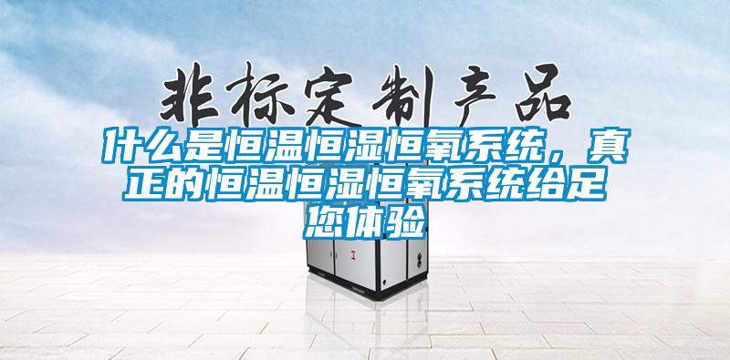 什么是恒溫恒濕恒氧系統(tǒng)，真正的恒溫恒濕恒氧系統(tǒng)給足您體驗(yàn)