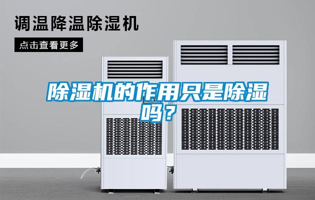 除濕機的作用只是除濕嗎？