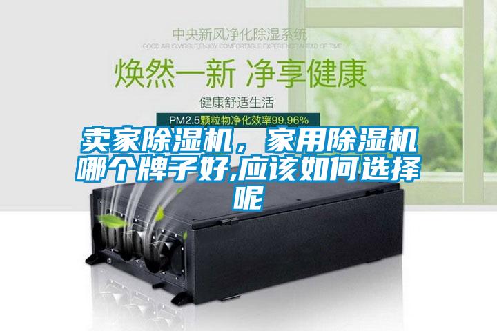 賣家除濕機，家用除濕機哪個牌子好,應該如何選擇呢