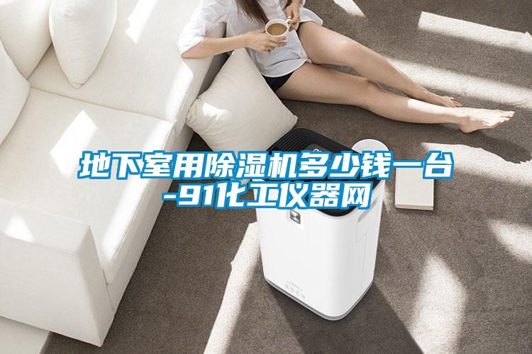地下室用除濕機(jī)多少錢一臺(tái)-91化工儀器網(wǎng)