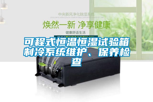 可程式恒溫恒濕試驗(yàn)箱制冷系統(tǒng)維護(hù)、保養(yǎng)檢查