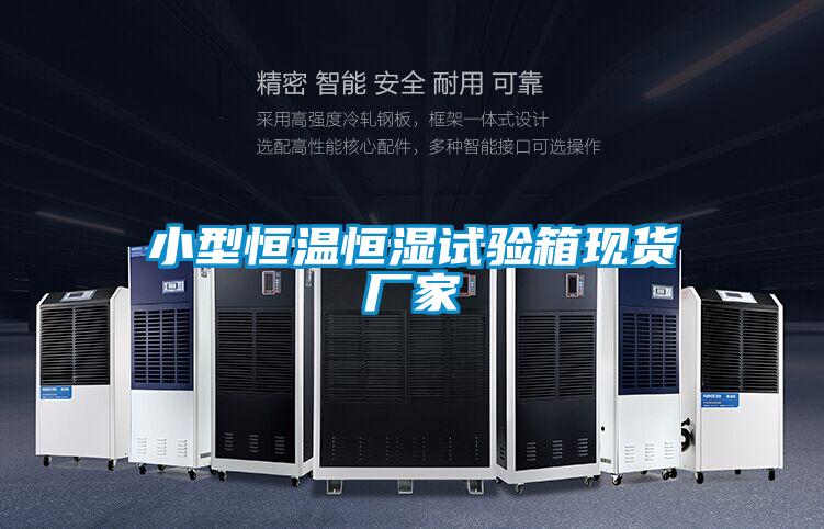 小型恒溫恒濕試驗箱現(xiàn)貨廠家