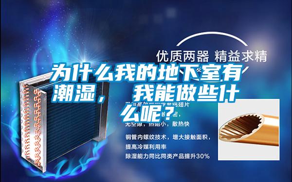 為什么我的地下室有潮濕， 我能做些什么呢？