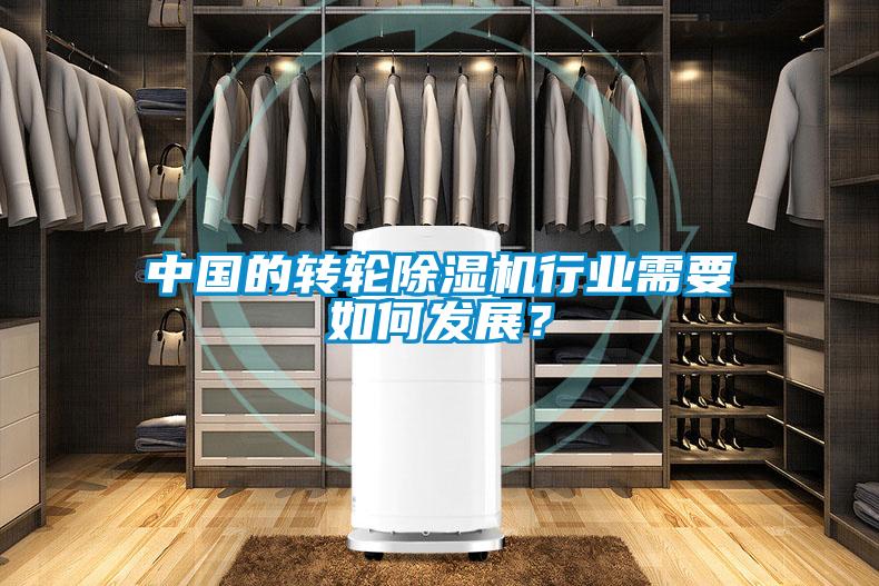 中國的轉(zhuǎn)輪除濕機(jī)行業(yè)需要如何發(fā)展？