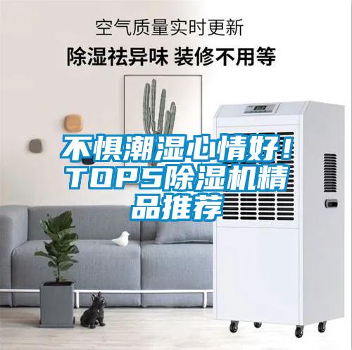 不懼潮濕心情好！TOP5除濕機精品推薦