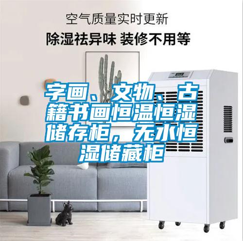 字畫、文物、古籍書畫恒溫恒濕儲存柜，無水恒濕儲藏柜