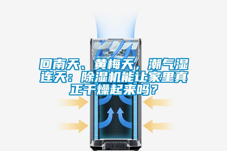 回南天、黃梅天，潮氣濕連天：除濕機能讓家里真正干燥起來嗎？