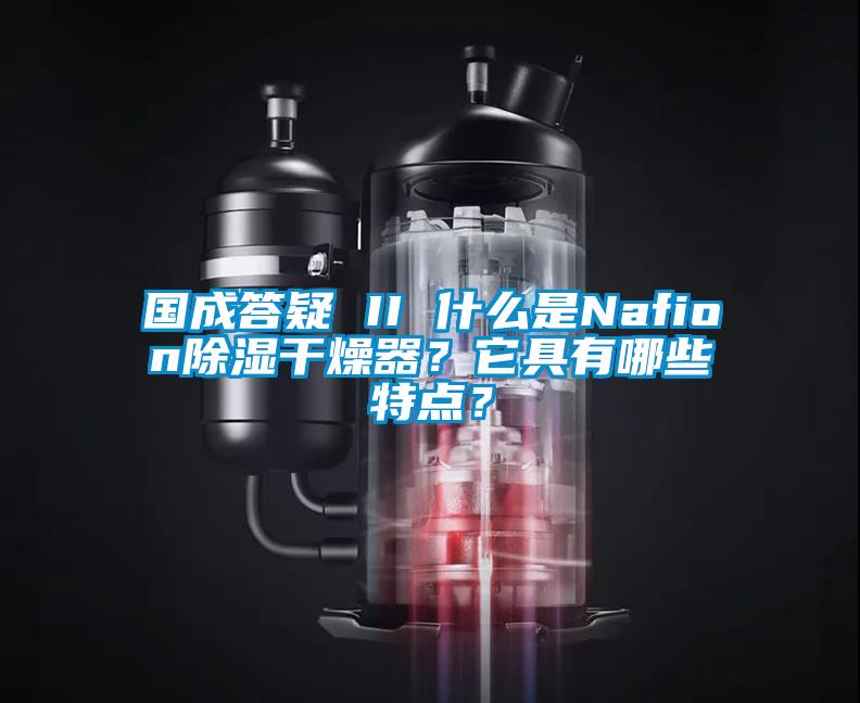 國成答疑 II 什么是Nafion除濕干燥器？它具有哪些特點？