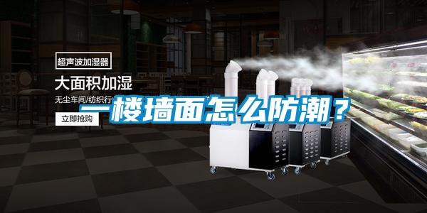一樓墻面怎么防潮？
