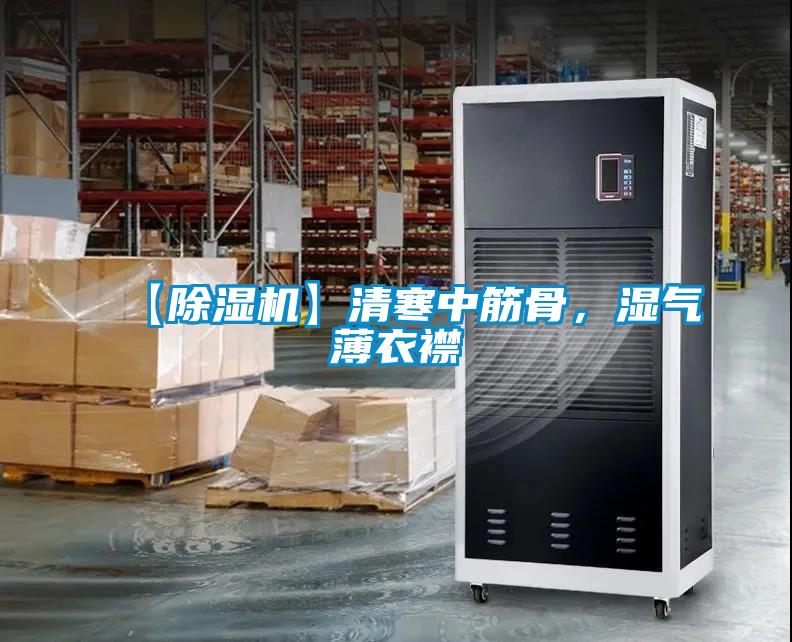 【除濕機】清寒中筋骨，濕氣薄衣襟