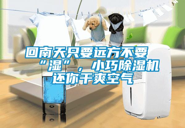 回南天只要遠方不要“濕”，小巧除濕機還你干爽空氣