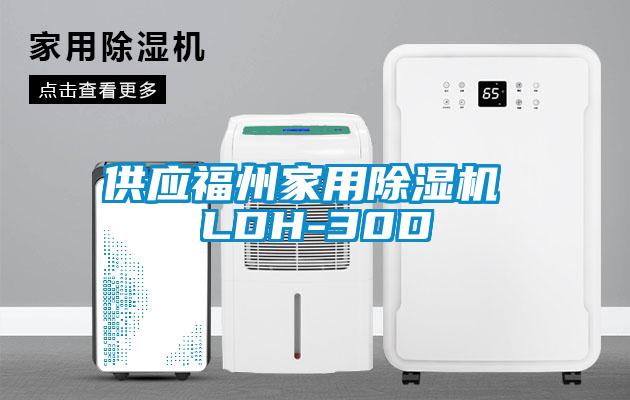 供應(yīng)福州家用除濕機 LDH-30D