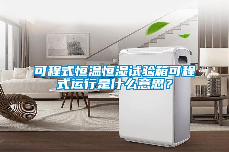 可程式恒溫恒濕試驗(yàn)箱可程式運(yùn)行是什么意思？