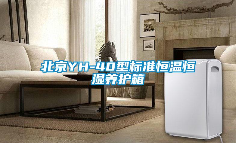 北京YH-40型標準恒溫恒濕養(yǎng)護箱