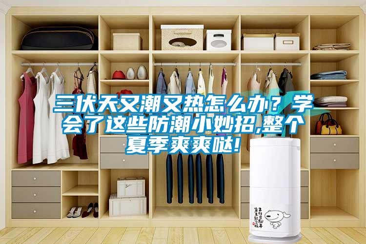 三伏天又潮又熱怎么辦？學(xué)會了這些防潮小妙招,整個夏季爽爽噠!