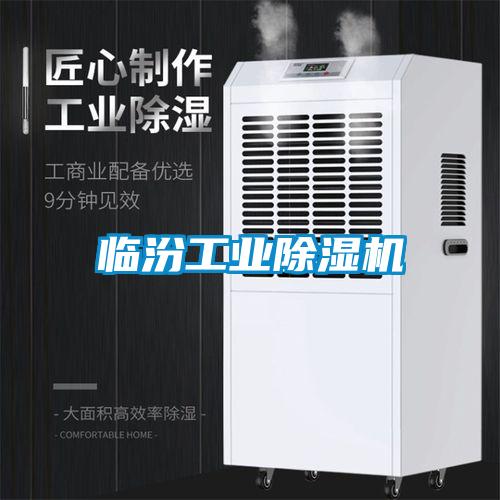 臨汾工業(yè)除濕機