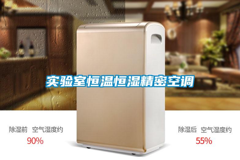 實(shí)驗(yàn)室恒溫恒濕精密空調(diào)