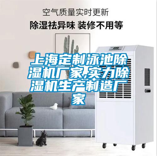 上海定制泳池除濕機(jī)廠家,實力除濕機(jī)生產(chǎn)制造廠家