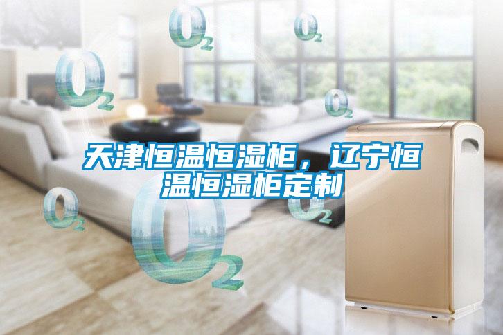 天津恒溫恒濕柜，遼寧恒溫恒濕柜定制