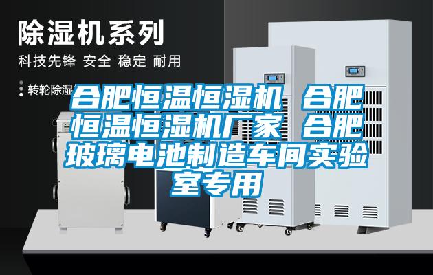合肥恒溫恒濕機(jī) 合肥恒溫恒濕機(jī)廠家 合肥玻璃電池制造車間實(shí)驗(yàn)室專用