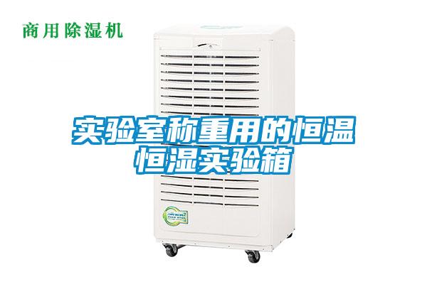實(shí)驗(yàn)室稱(chēng)重用的恒溫恒濕實(shí)驗(yàn)箱