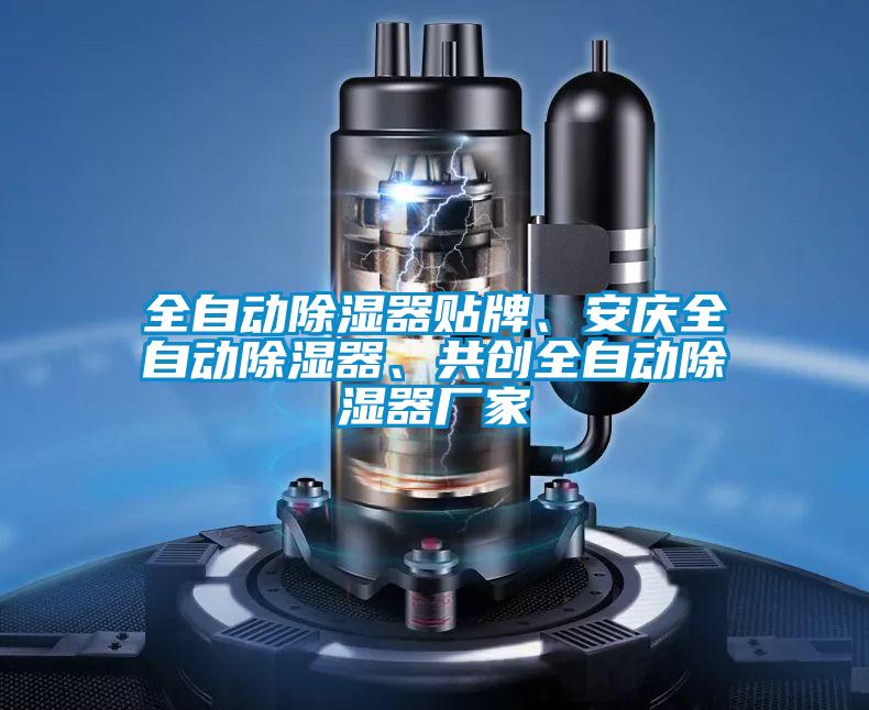 全自動(dòng)除濕器貼牌、安慶全自動(dòng)除濕器、共創(chuàng)全自動(dòng)除濕器廠家