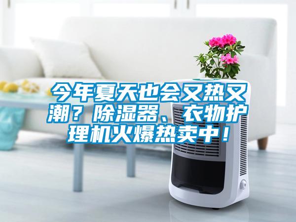 今年夏天也會又熱又潮？除濕器、衣物護理機火爆熱賣中！