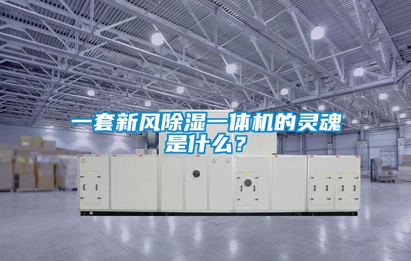 一套新風(fēng)除濕一體機(jī)的靈魂是什么？