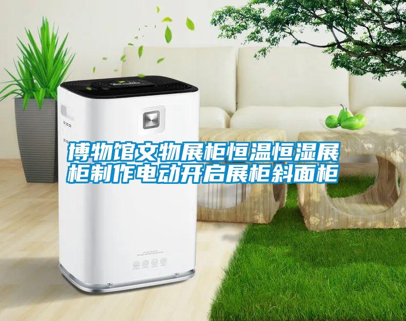 博物館文物展柜恒溫恒濕展柜制作電動(dòng)開啟展柜斜面柜