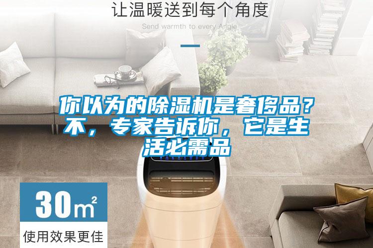你以為的除濕機是奢侈品？不，專家告訴你，它是生活必需品