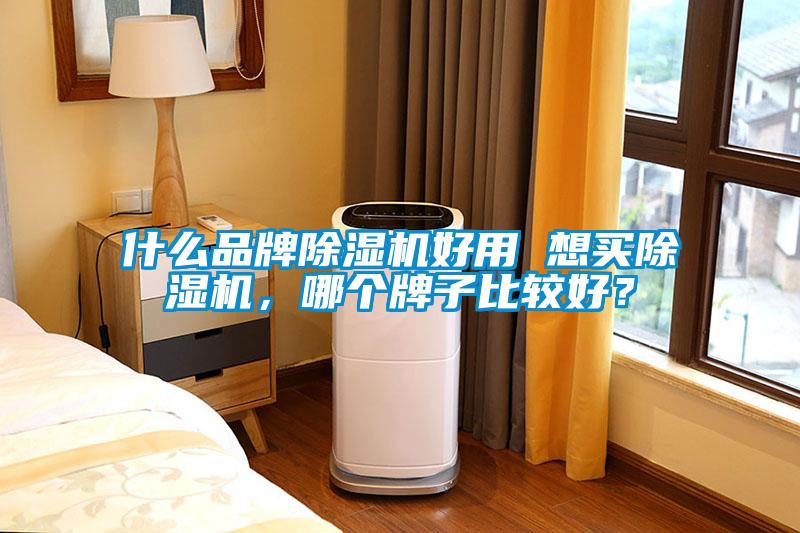 什么品牌除濕機好用 想買除濕機，哪個牌子比較好？